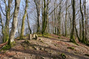 Oberan, mugarrien gaina