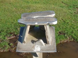 Mendibilgo txartelontzia