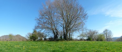 Iturrondoko gailurra