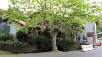 Basilurreko errota, Bidarte