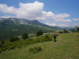 Arralde eta Arimekorta artean