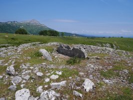 Errekatxuetako atxa trikuharria