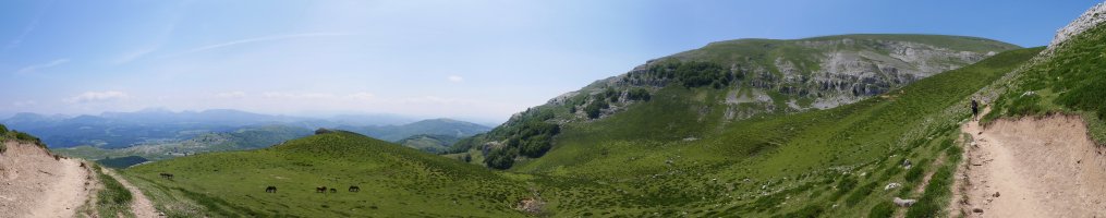 Dulao ingurutik ikuspegi zabala