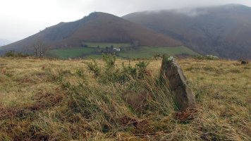 Dondenia 3 trikuharria, Arrosa