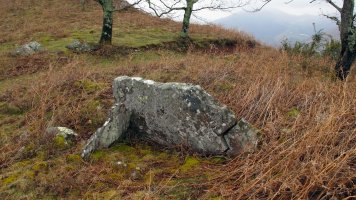 Mikelare trikuharria, Arrosa