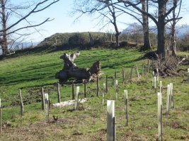 Túmulo Txoritegi   (Marzo 2015)