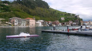 Pasai Donibane, San Pedroko kaitik