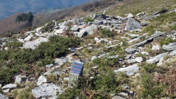 Latargi 4 trikuharria, Eratsun