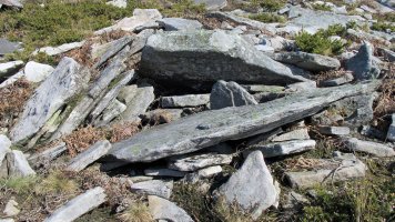 Latargi 4 trikuharria, Eratsun