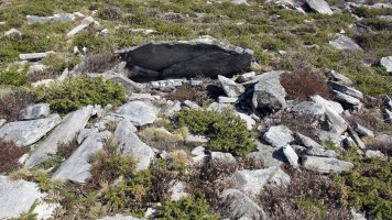 Latargi 5 trikuharria, Eratsun