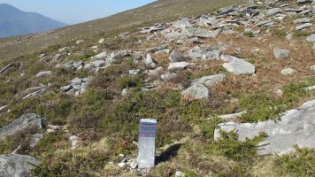 Latargi 7 trikuharria, Eratsun