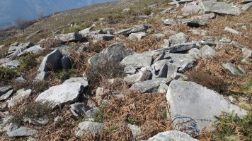 Latargi 7 trikuharria, Eratsun