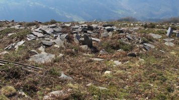 Latargi 9 trikuharria, Eratsun