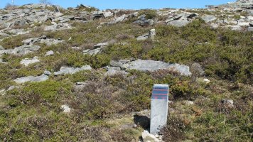 Latargi 8 trikuharria