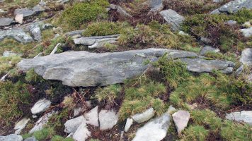 Latargi 2 zutarria, Eratsun