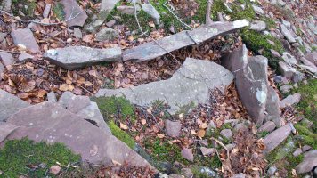 Latargi 13 trikuharria, Eratsun