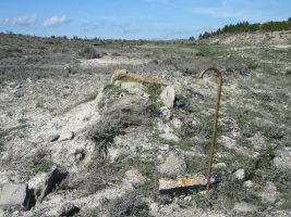 Cista Las Cabras 3  (Marzo  2015)