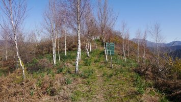 Arranagaita tumuluaren inguruko bidea