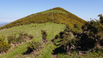 Oianberri Hegoaldeko lepotik