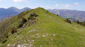 Apaola tontorra IEko bizkarretik