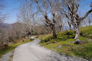 Bulatsegiko porlanezko bidea