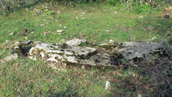 Gatzarrieta zutarria, Goñi