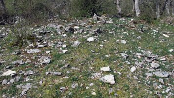 Marcuero trikuharria, Goñi