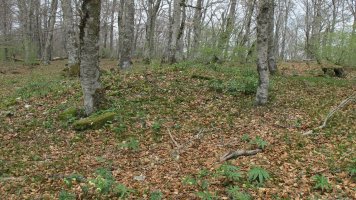 Bagaritxa 1 mendebalde tumulua, Goñi