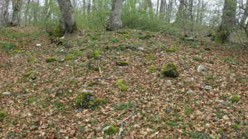 Bagaritxa 2 ekialde tumulua, Goñi