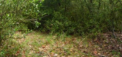 Izanzeko gailur itxia