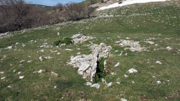 Trekua Goñi trikuharria, Goñi