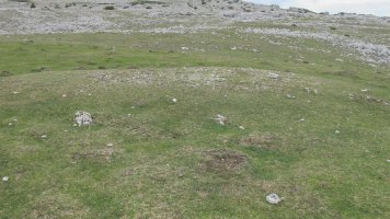 Peña Blanca 2 etxola hondoa, Andia