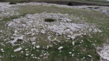 Aitz Txuri trikuharria, Andia