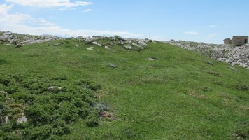 Dukesana 2 ekialde txabola tumularra, Andia