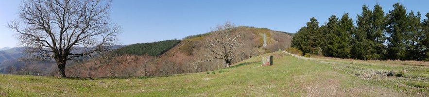 Urdaletako lepoaren inguruak