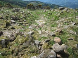 Túmulo Naasiko Goena   (Abril   2015)