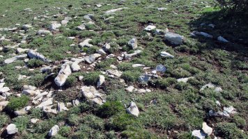 Peña Elordia 1 tumulua, Goñi