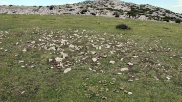 Balsa Fria 4 txiki tumulua, Andia