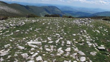 Ezpeleta 2 eraztun-tumulua, Andia