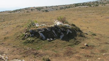 El Brinkulo 3 txabola tumularra (2012/08/09), Andia