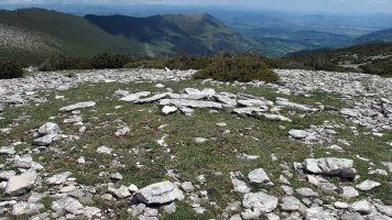 Ezpeleta tumulua, Andia