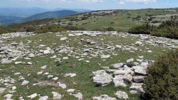 Ezpeleta tumulua, Andia