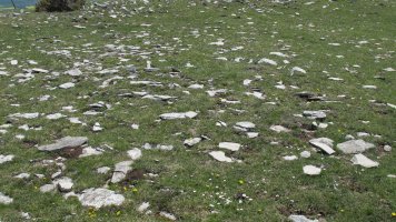 Trekua norte tumulua, Andia