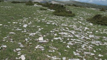 Trekua norte tumulua, Andia