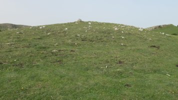 Sarasa Gañe trikuharria, Andia