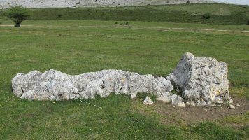 Sarasako Sakana zutarria, Andia