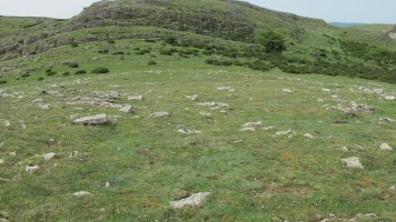 Elortxiki eraztun tumulua, Andia