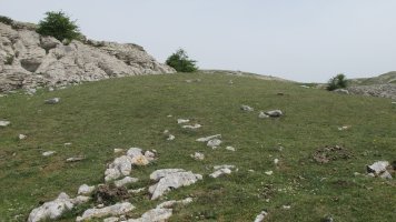 Tontorraundi etxola hondoa, Andia