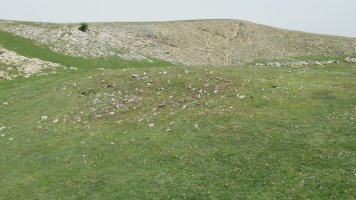 Zotolaundi 2 etxola hondoa, Andia