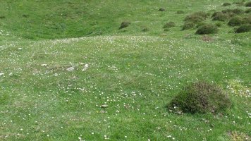 Zotolaundi 3 etxola hondoa, Andia